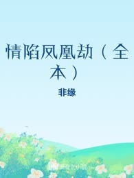 情陷凤凰劫（全本）