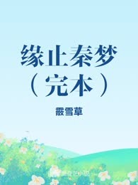 缘止秦梦（完本）