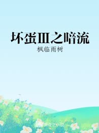 坏蛋Ⅲ之暗流
